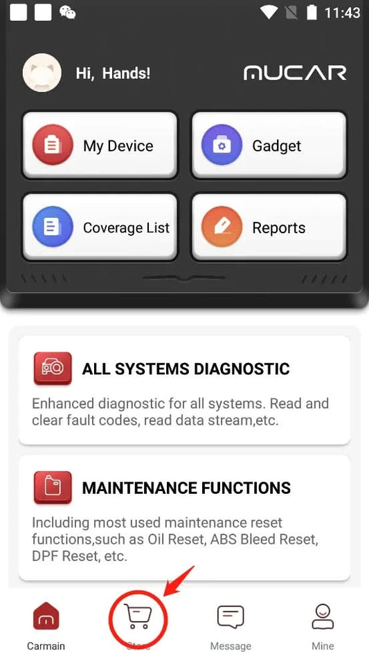 Update/Renew MUCAR BT200/MUCAR BT200 Pro 15 Reset Softwares 1 Year Free 15 Resets Maintenance Function T-code
