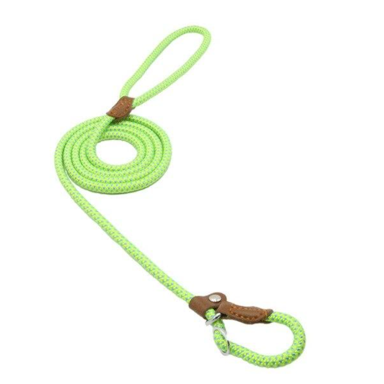 Hundeset aus Nylon