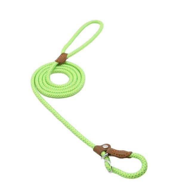 Hundeset aus Nylon