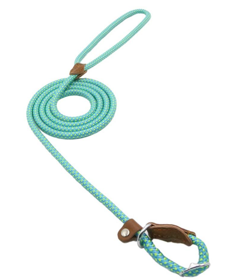 Hundeset aus Nylon