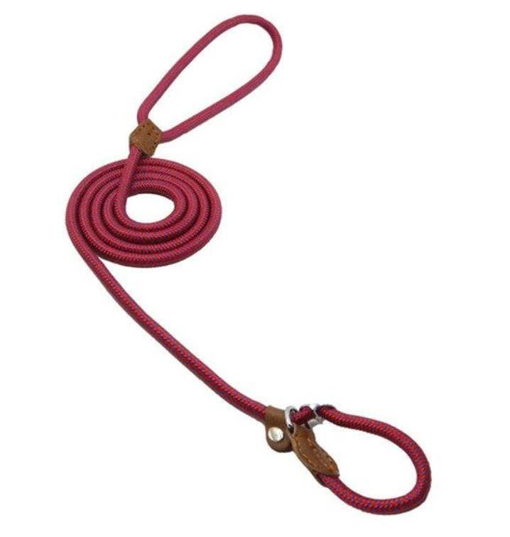 Hundeset aus Nylon