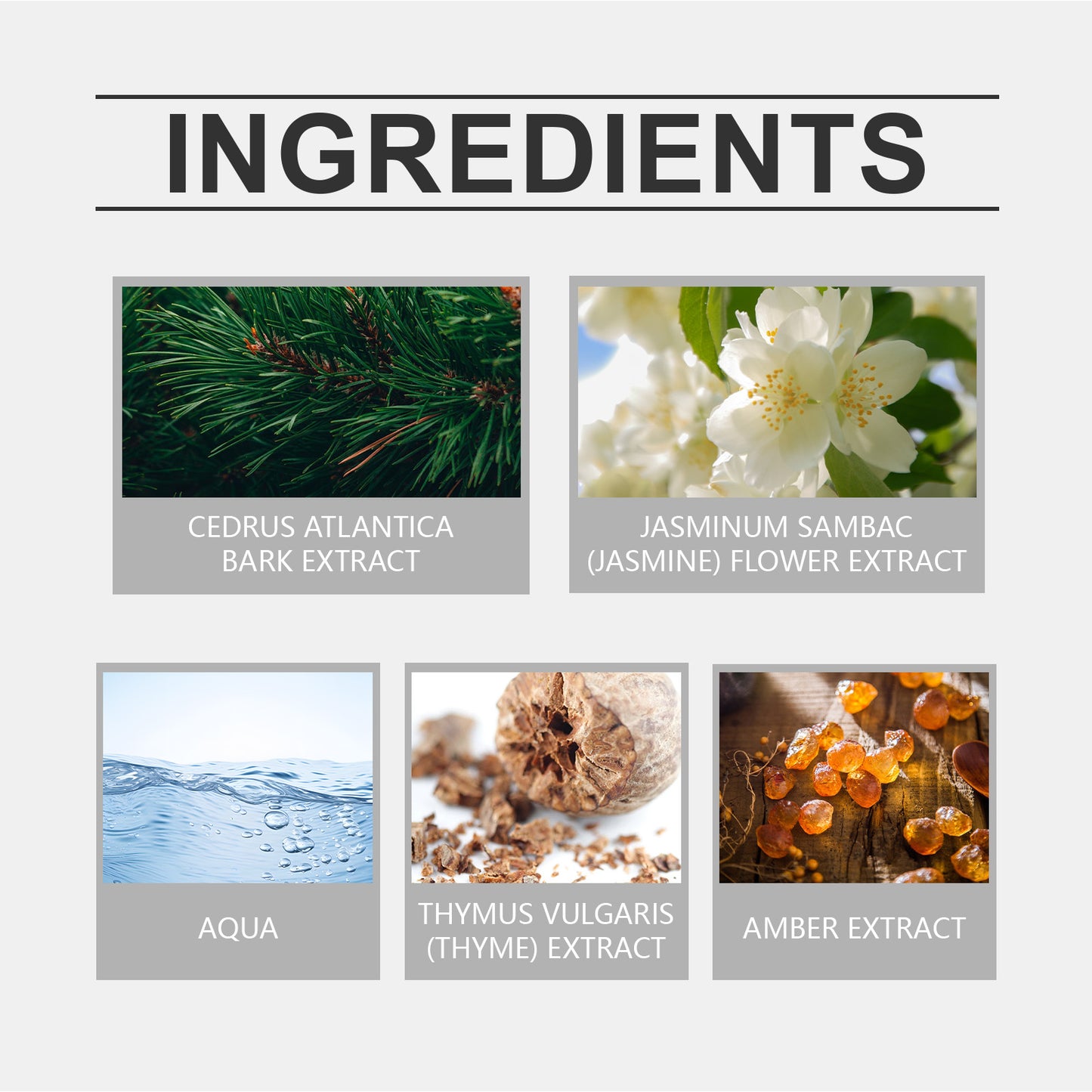 Eau De Toilette, Warm Wood Scent Charming Floral Fragrance Fresh Natural Fragrance Fragrance Lasting Fragrance