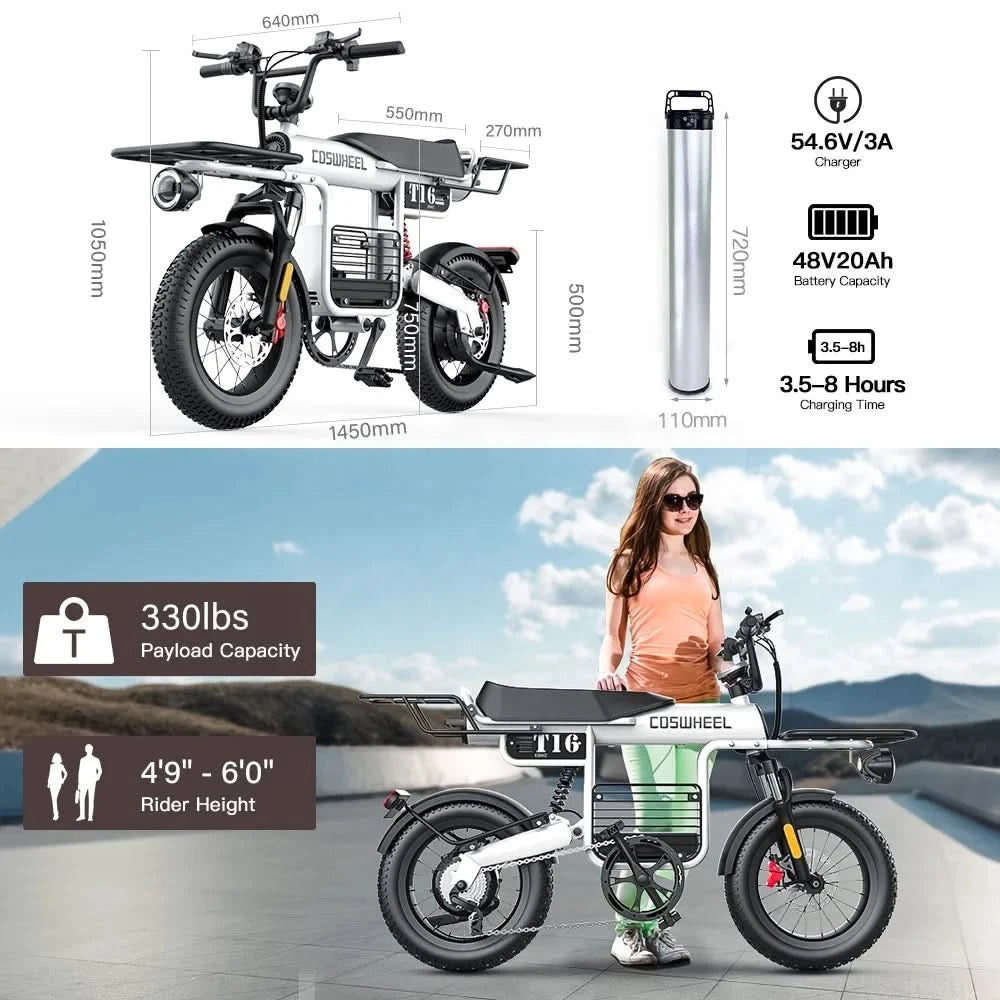 Ebike EU Stock Coswheel T16 Fatbike Electric City Bike Adults 180mm Dual Disc Oil Brakes Full Suspension Power E Bike