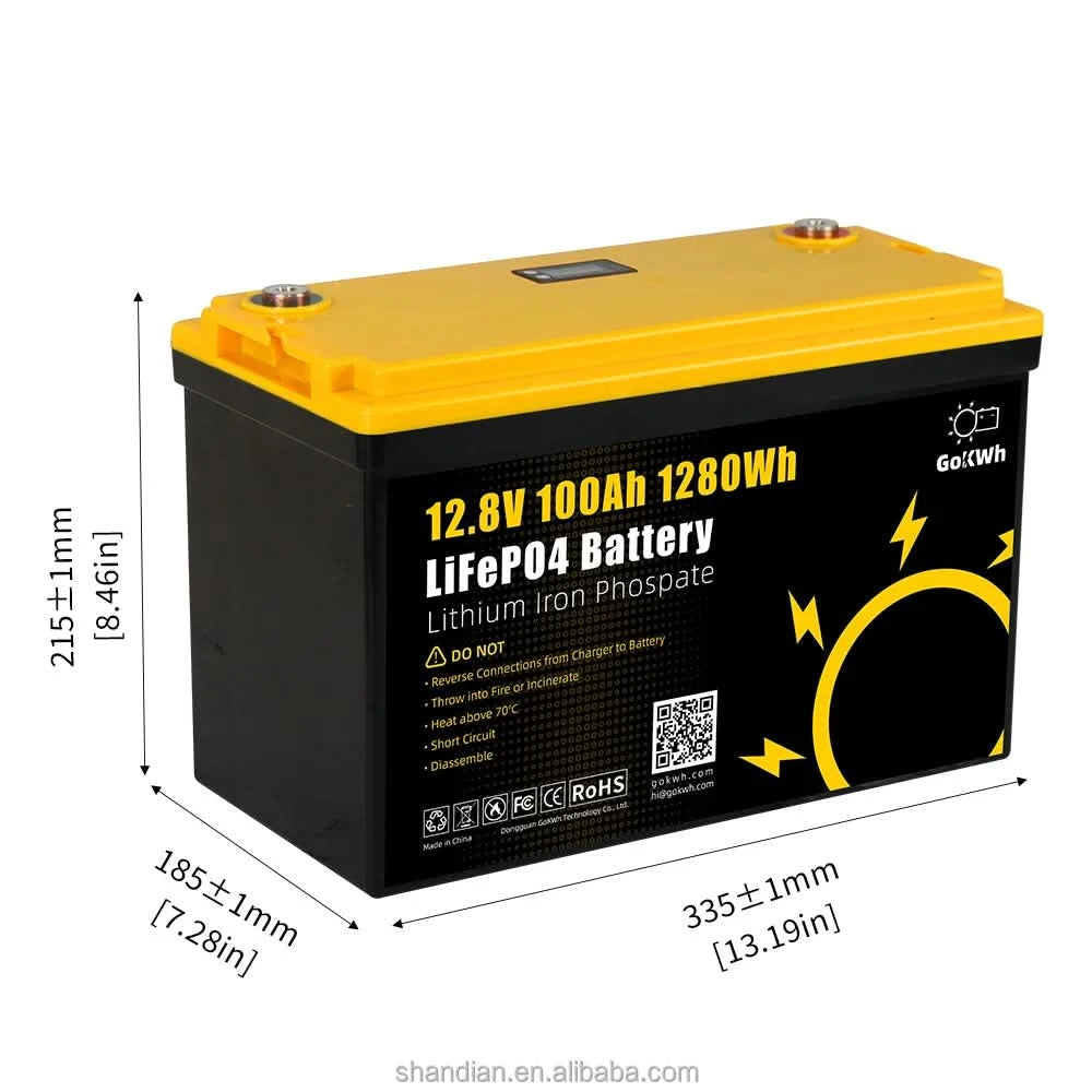GoKWh Bluetooth 12V 100Ah Battery Lifepo4 LFP 12.8V 100A 200Ah Lithium Ion Solar Battery Lithium Battery Pack RV Camping Boat