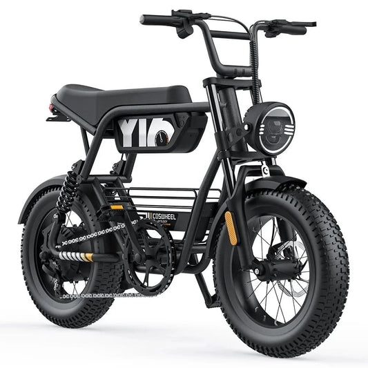 COSWHEEL Y16 Elektrofahrrad 1000W Ebike 750W 15A Batterie 16X4.0 Fat Tire Snow Beach Cruiser Stahl Mountainbike 16 Zoll