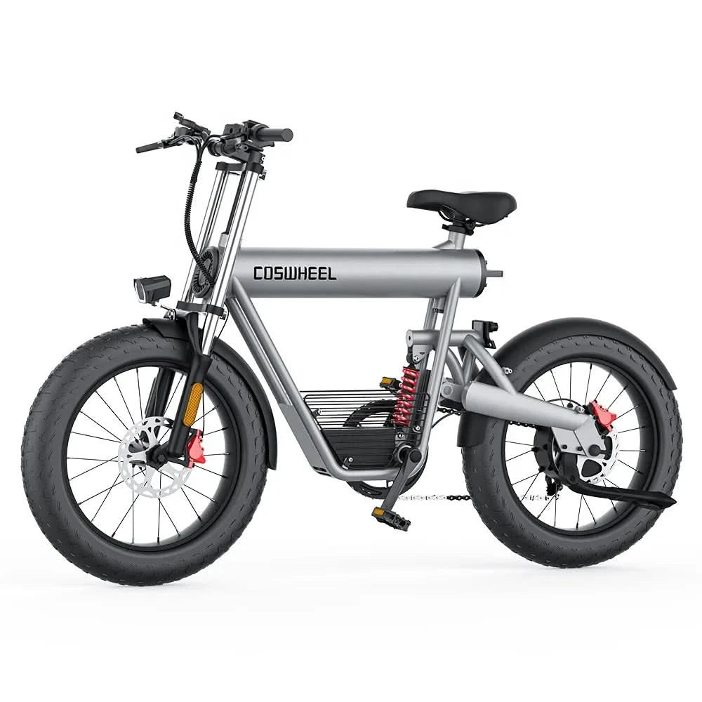 COSWHEEL T20 20AH Ultra-long-lasting Lithium Battery Capacity Food Delivery Electric City Bike 50km/h Long Distance Travel Adult