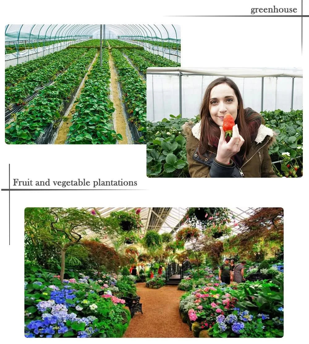 LM301H LED Grow Light V3 Board With Meanwell Driver 240W 480W 720W 3000K/3500K 660NM UV IR Growbox For Plants Veg Bloom