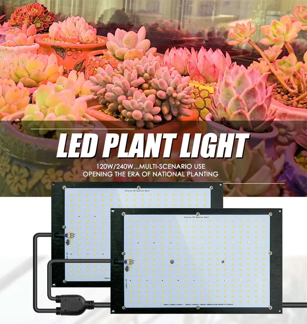 120W 240W Sam-ng LM301h Quantum LED Grow Light Board Lamp IR UV Full Spectrum Phytolamp For Plants Hydroponics MeanWell Driver