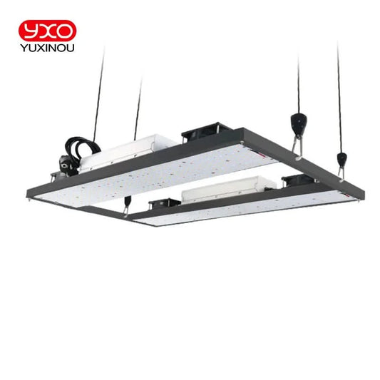 LM301H LED Grow Light V3 Platine mit Meanwell Treiber 240W 480W 720W 3000K/3500K 660NM UV IR Growbox für Pflanzenzucht Veg Blüte