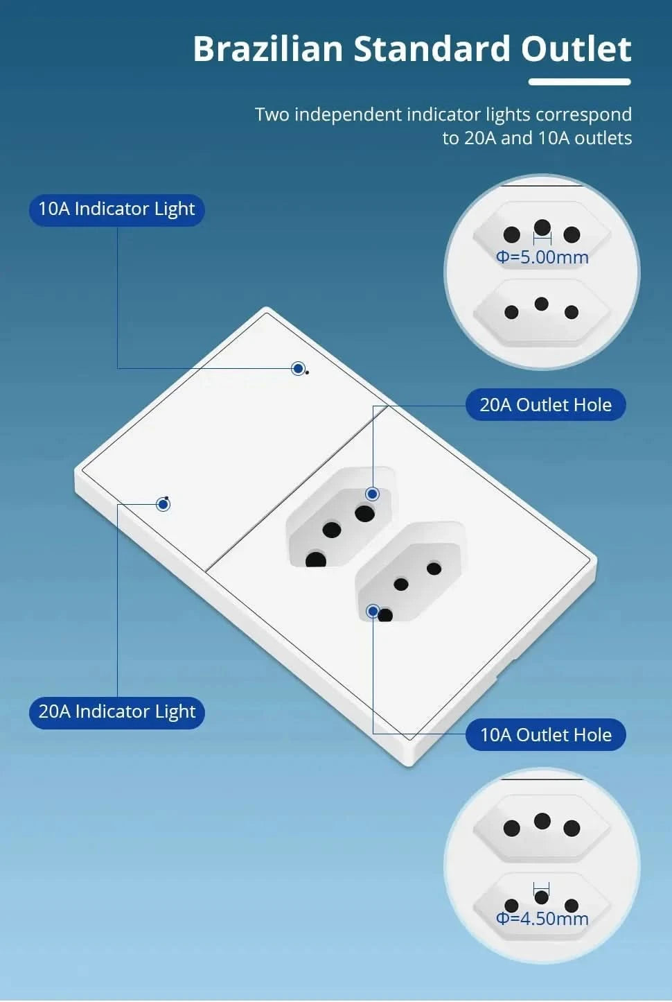 Zemismart Matter Zigbee Hub Work with Tuya Homekit Smartthings Google Home Zigbee Brazil Socket Outlet Smart Wall Tomada 10A 20A