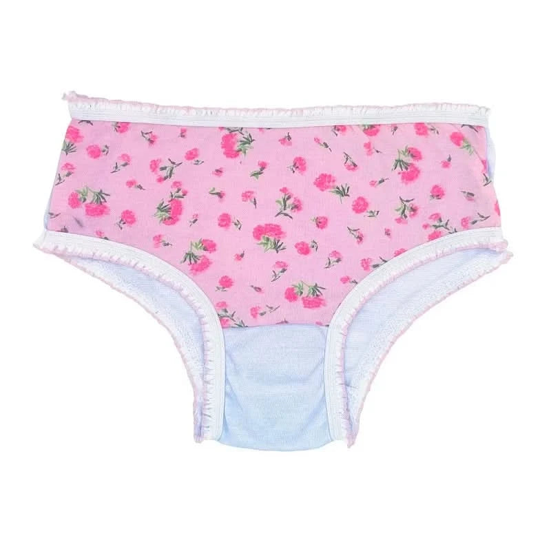Children's Panties Child Colorful Printed Cotton Wholesale Resale Lot Kit 10 Units