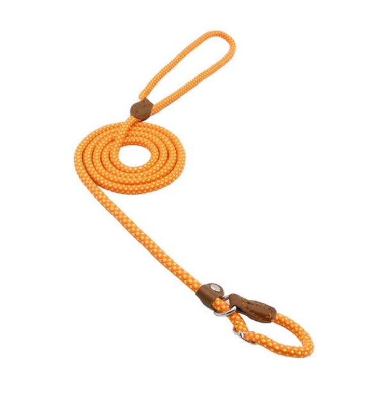 Hundeset aus Nylon