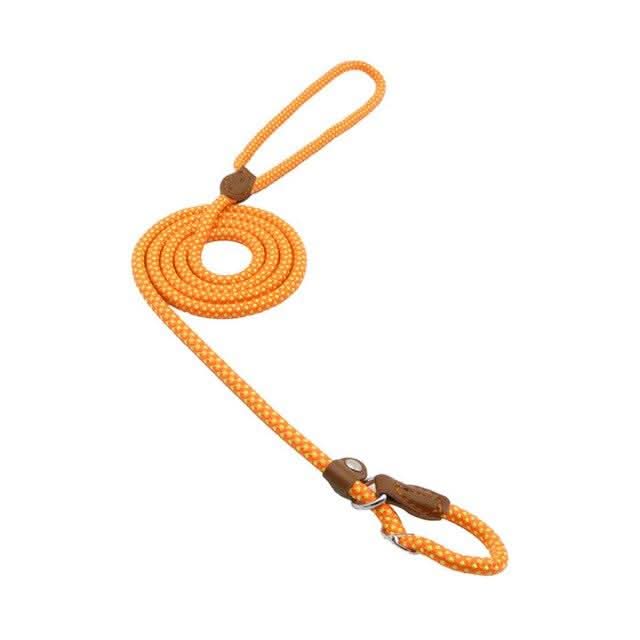 Hundeset aus Nylon