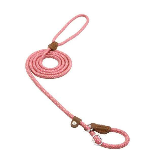 Hundeset aus Nylon